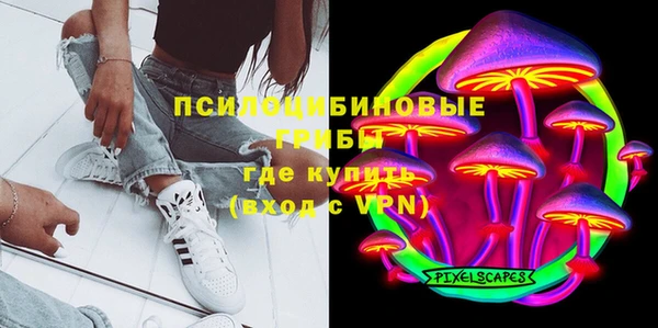 молекула духа Строитель