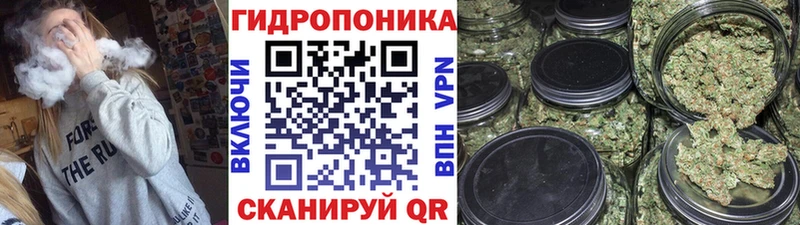 Канабис тримм  Купить закладки  Шилка 